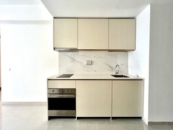 Kopar At Newton (D9), Apartment #562198501